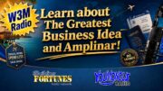 W3M Radio Amplinar