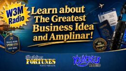 W3M Radio Amplinar